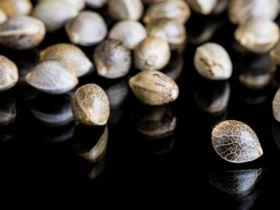 Captura de pantalla 2026 01 13 a las 13.42.41